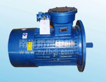 （無(wú)底腳）YBS（DSB）輸送機(jī)用隔爆型三相異步電動(dòng)機(jī)