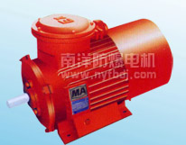 （有底腳）YBS（DSB）輸送機(jī)用隔爆型三相異步電動(dòng)機(jī)